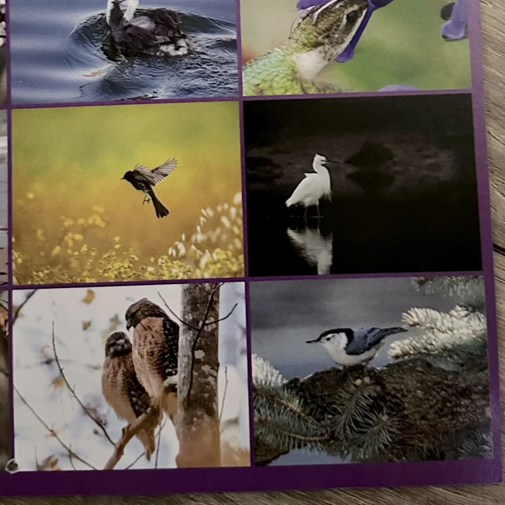 Audubon Society 2025 Protecting Birds & Nature 16 Month Calendar
